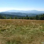 Séjour à la ferme Lesny Zakatek