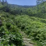 Alloggio per agriturismo Lesny Zakatek