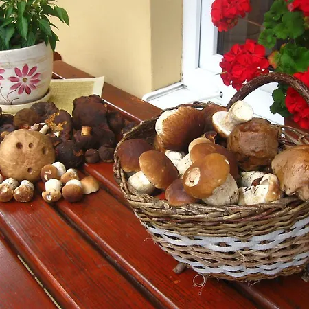 Lesny Zakatek Feriegård *