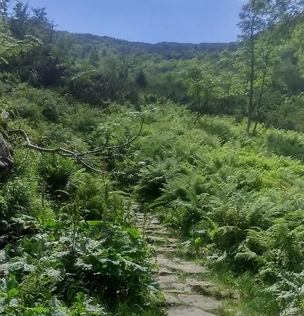 Farmház Lesny Zakatek