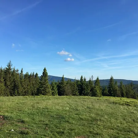 Feriegård Lesny Zakatek