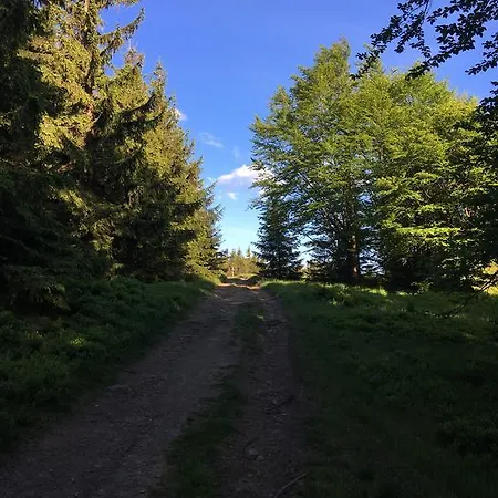 Lesny Zakatek Feriegård Stryszawa