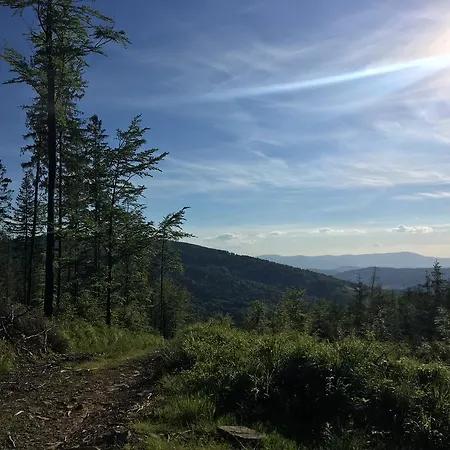 Lesny Zakatek ストリシャバ