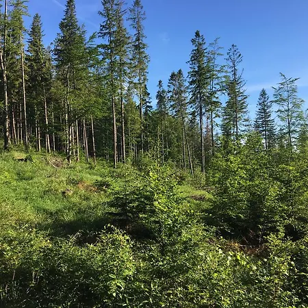 Lesny Zakatek Feriegård