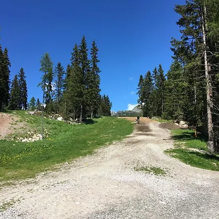 Lesny Zakatek ファームステイ *