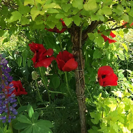 Feriegård Lesny Zakatek Stryszawa