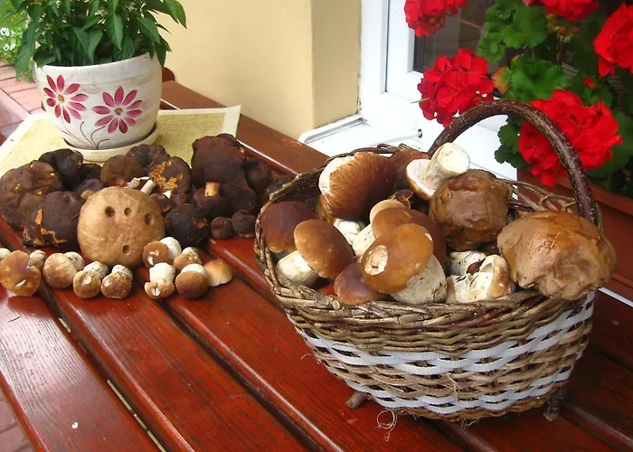 Lesny Zakatek Κατάλυμα σε φάρμα *