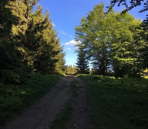 Lesny Zakatek Alloggio per agriturismo Stryszawa