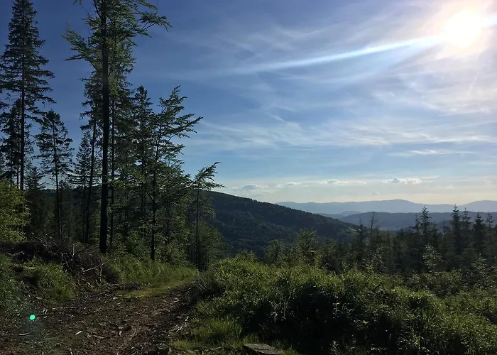 Lesny Zakatek Стрышава