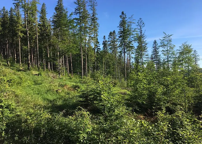 Lesny Zakatek Κατάλυμα σε φάρμα