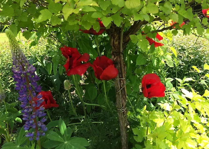 Alloggio per agriturismo Lesny Zakatek Stryszawa