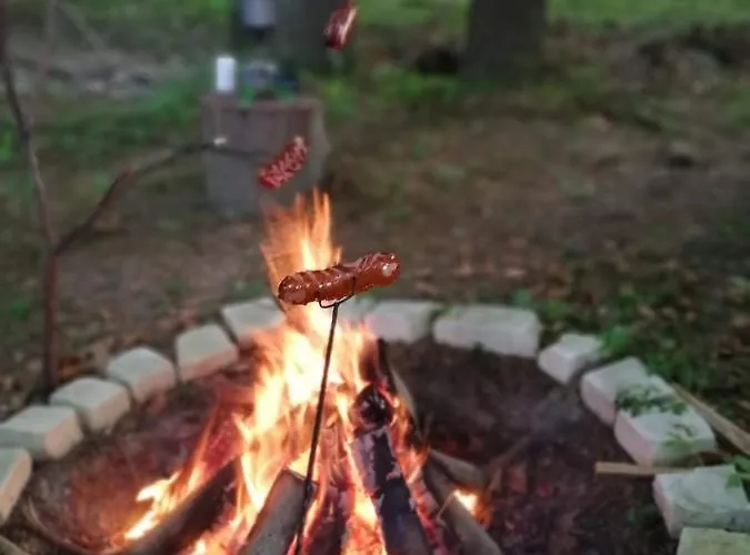 Фермерский дом Lesny Zakatek *