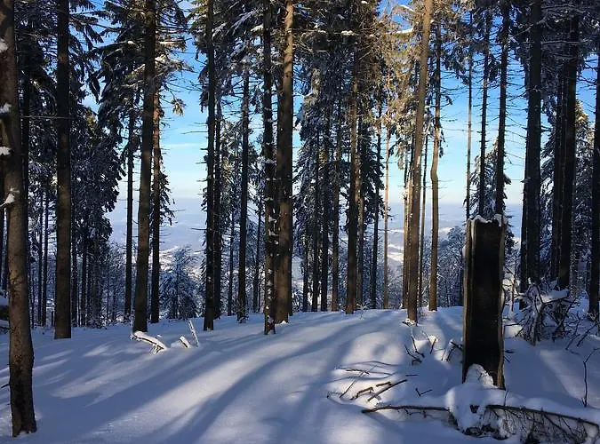 Фермерский дом Lesny Zakatek Стрышава
